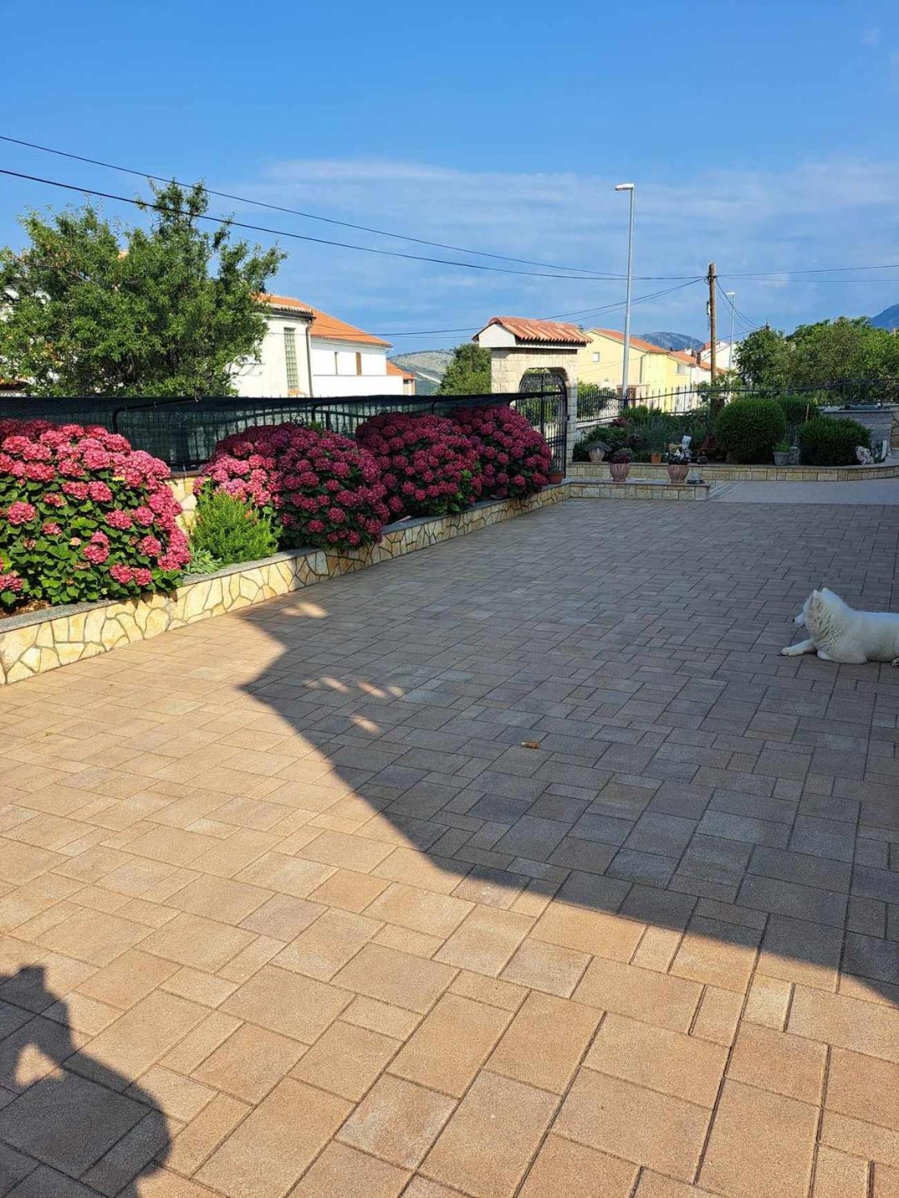 百合别墅公寓 诺维·维诺多尔斯基 外观 照片